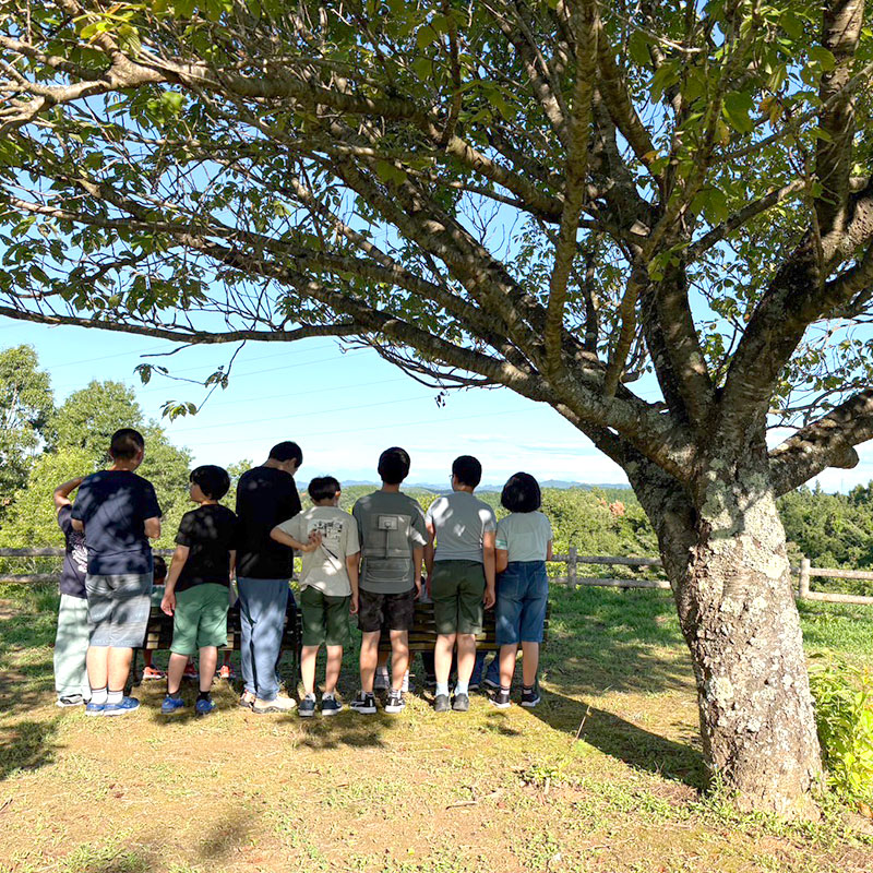 社会で生きる力を、毎日の療育の中で。